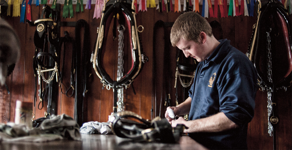 Wadworth 6X brand strategy, advertising and design