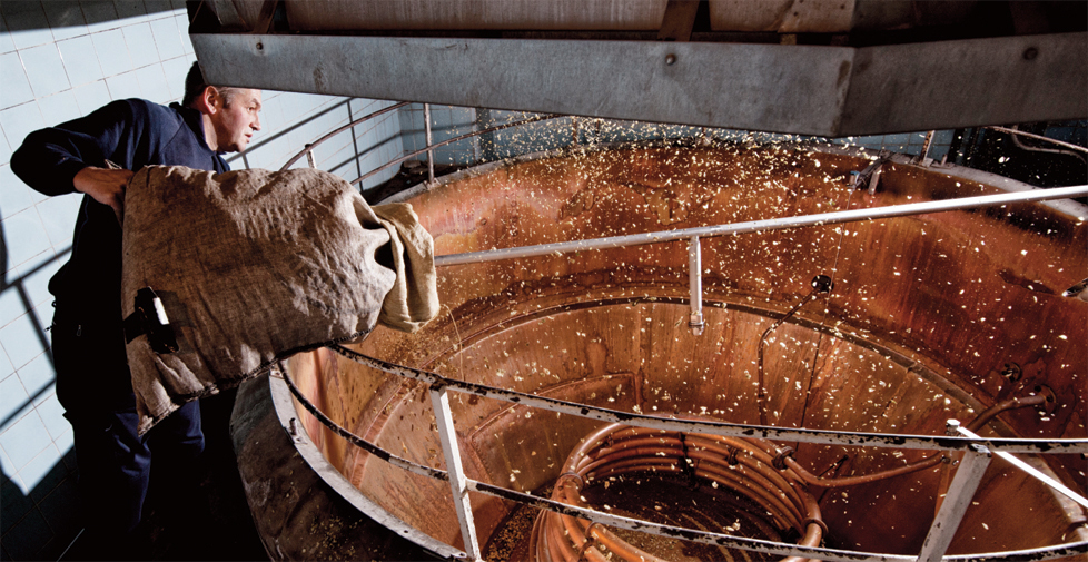 Wadworth 6X brand strategy, advertising and design