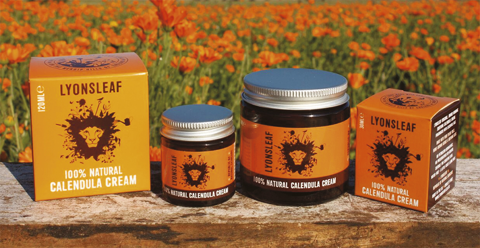 Brand strategy, logo design, packaging design, design for print