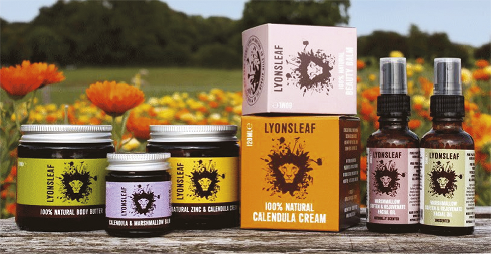 Brand strategy, logo design, packaging design, design for print